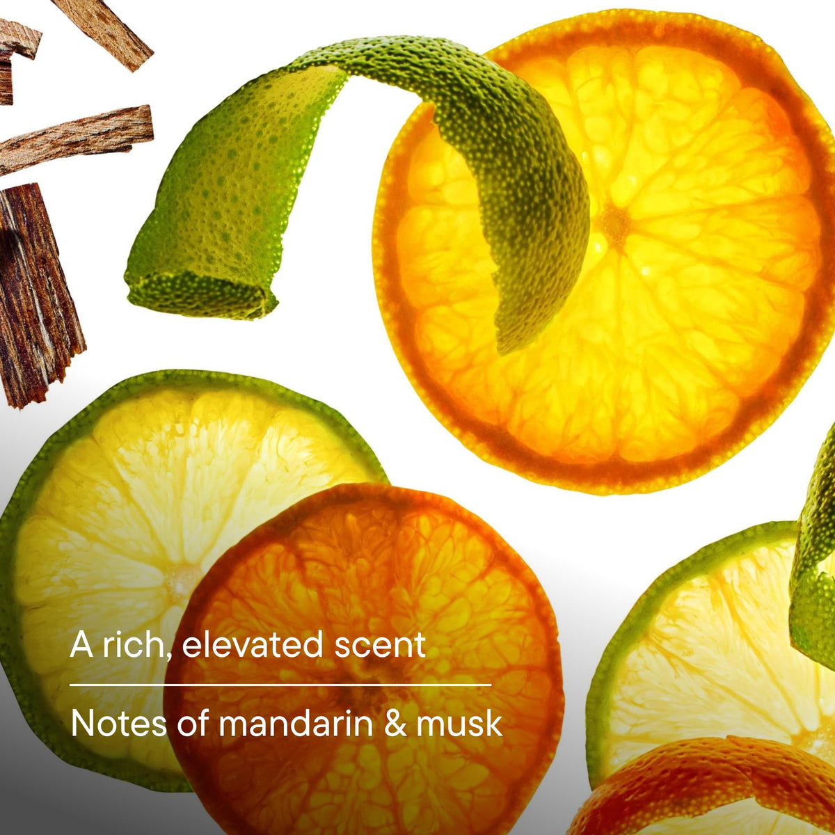Odor Control | Deodorant